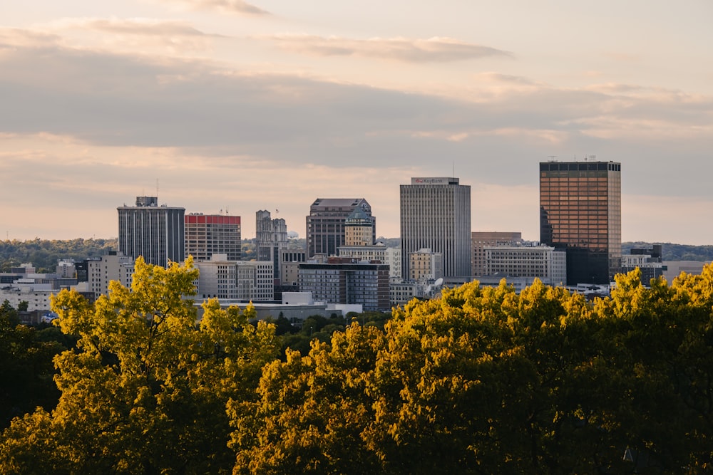 green trees near city buildings during daytime