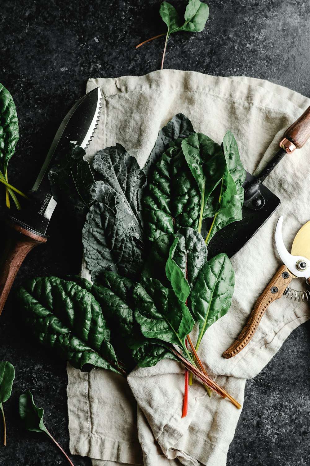 coltello con manico marrone e nero accanto alle foglie verdi