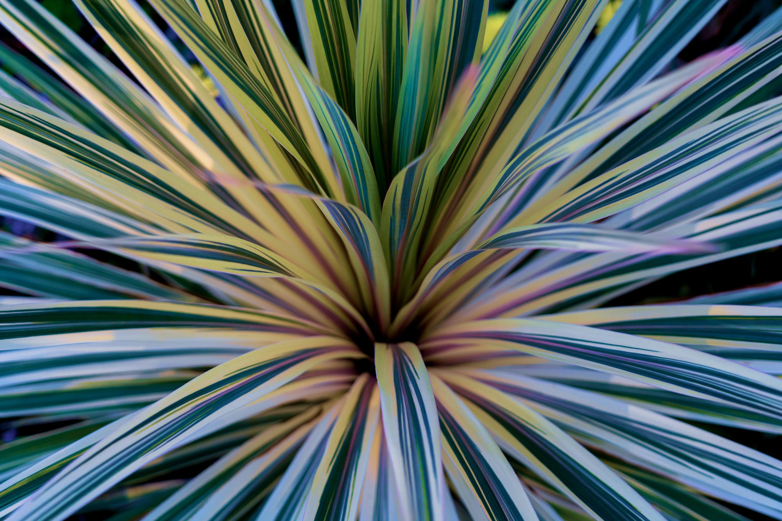 Photo by jannerboy62