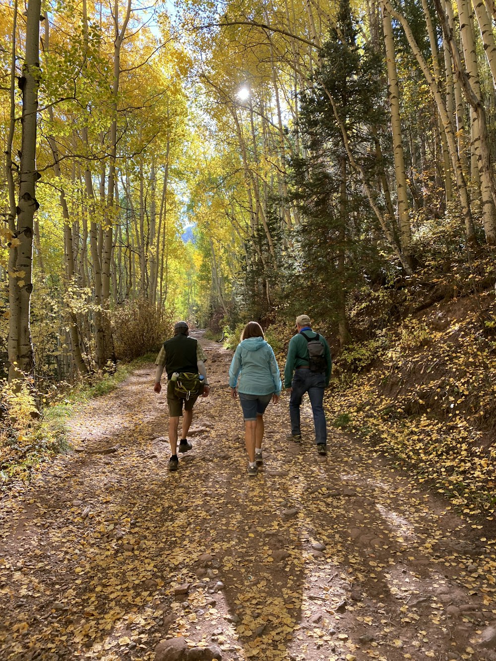 man and woman walking on forest during daytime
