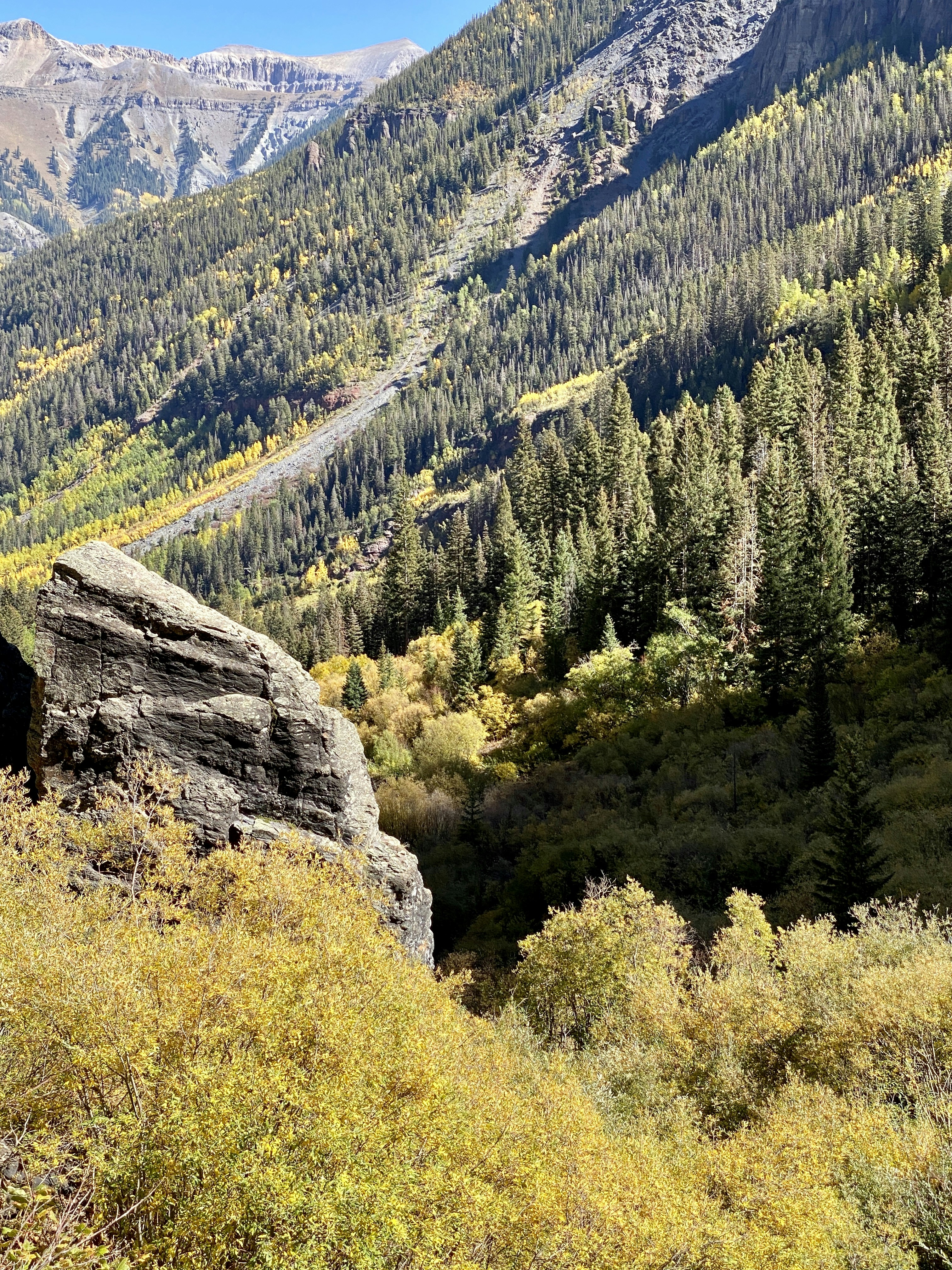 green pine trees on mountain during daytime