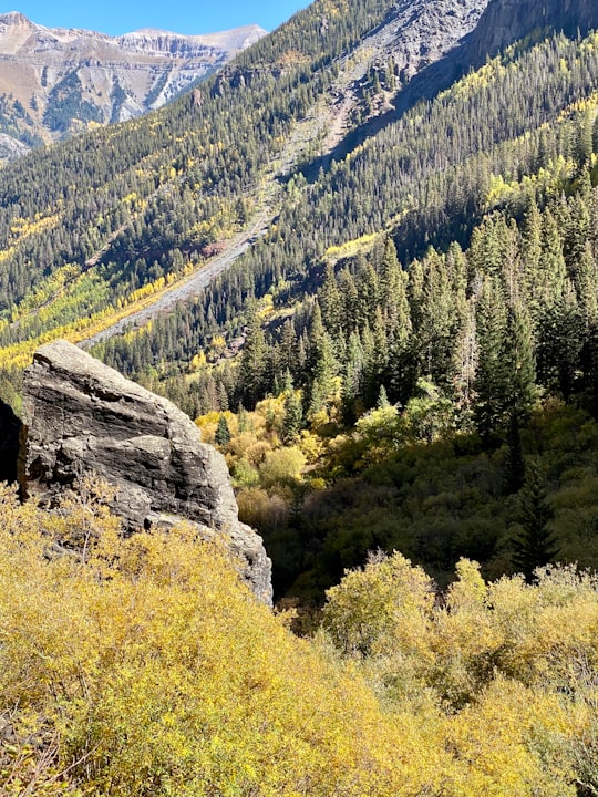 green pine trees on mountain during daytime in Grand Mesa National Forest United States