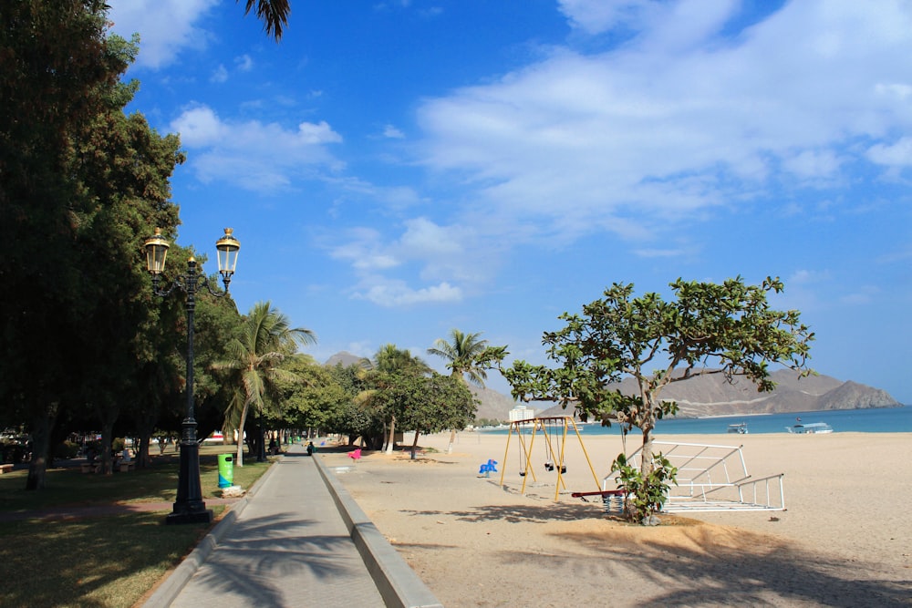 people on beach during daytime