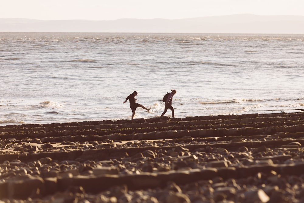 2 person walking on beach during daytime