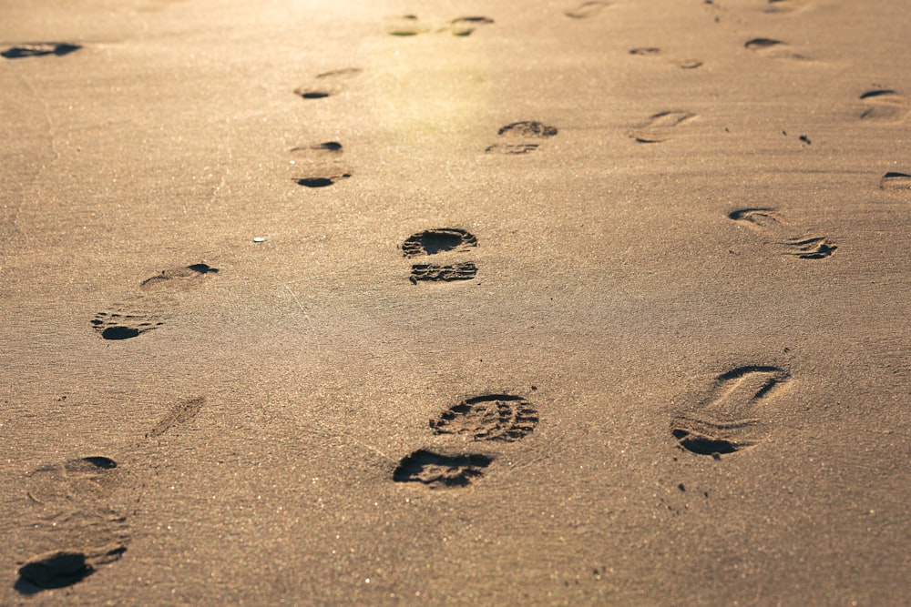 foot prints on brown sand