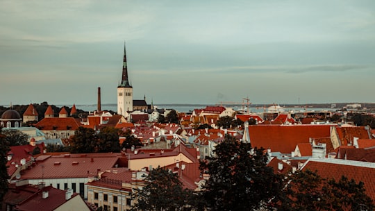 aerial view of city buildings during daytime in Kohtuotsa Viewing platform Estonia