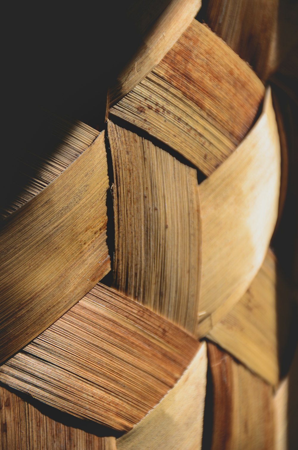 brown wooden sticks in close up photography