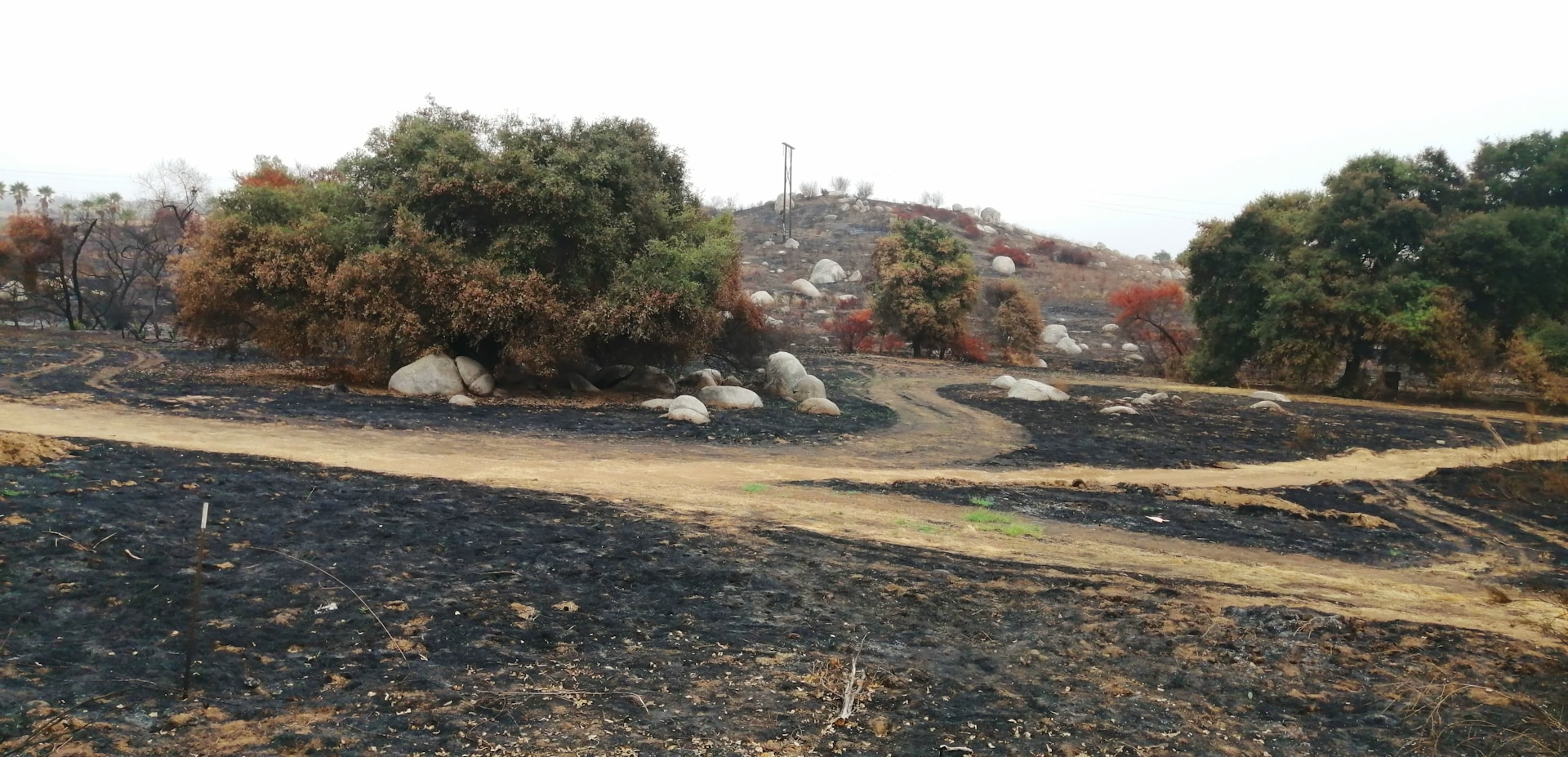 A landscape with barren, darkened ground indicative of recent burning, surrounded by patches of greenery and small clusters of trees. Large rocks are scattered throughout the area, and a dirt path winds through the scene. The sky is overcast, creating a somber atmosphere.