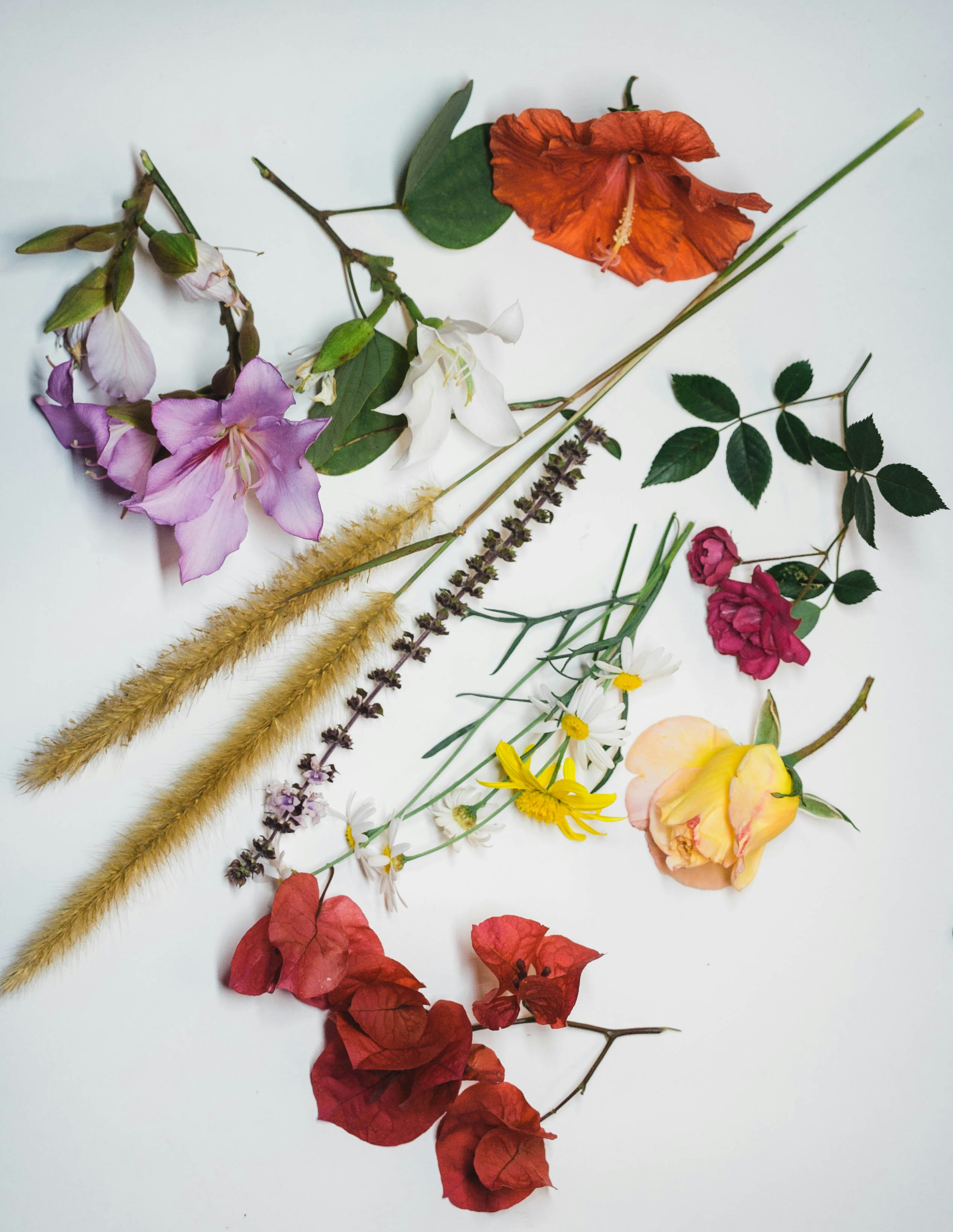 Preserved natural flowers arrangement