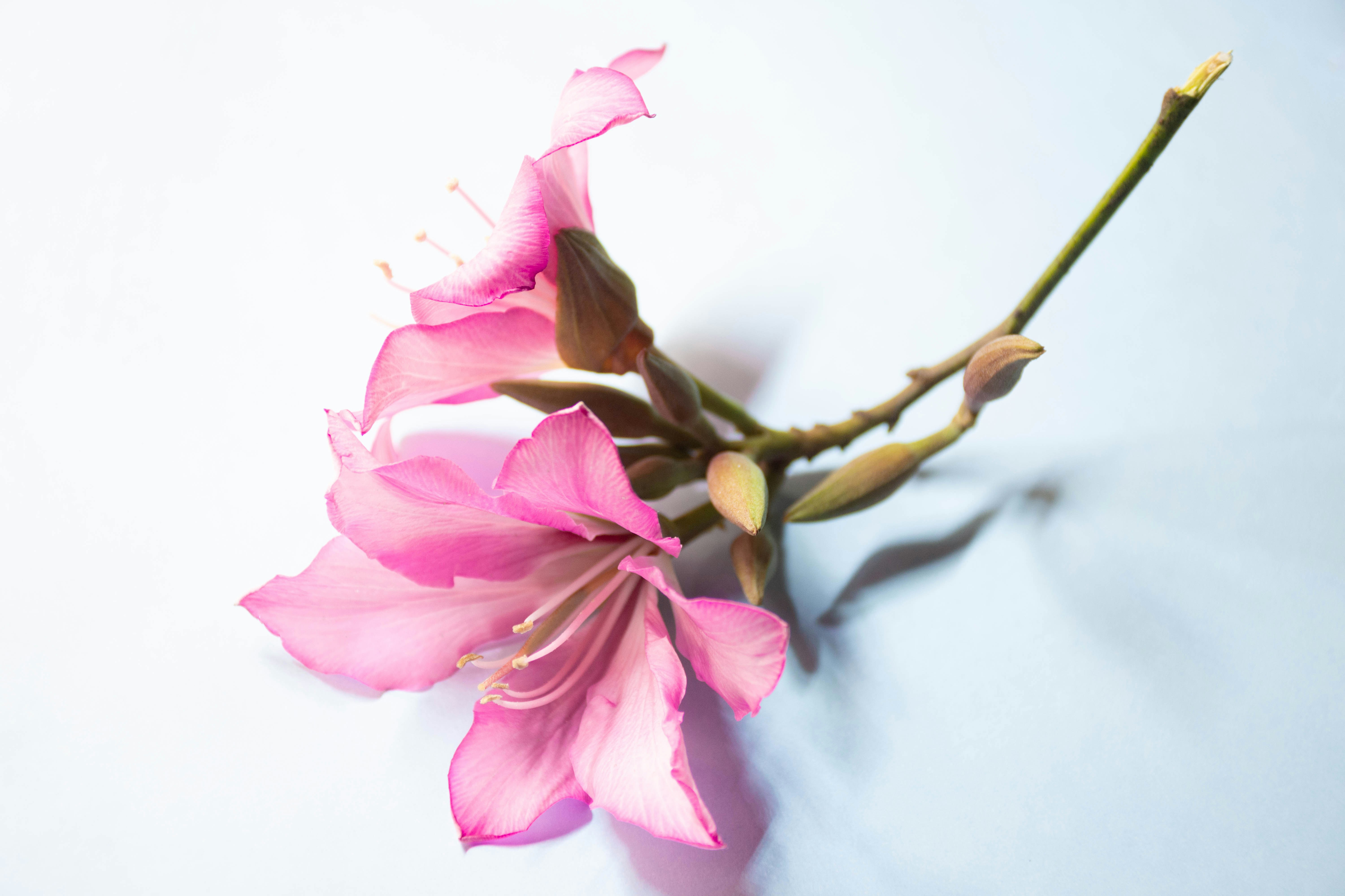 Photo by lucasgwendt