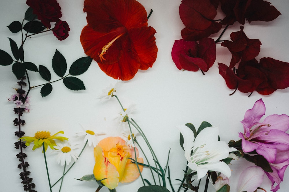 red and yellow flowers on white surface