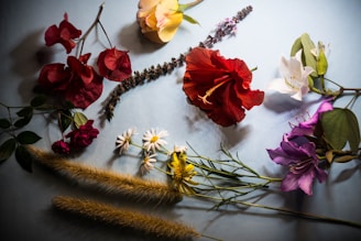 red and white roses on white textile