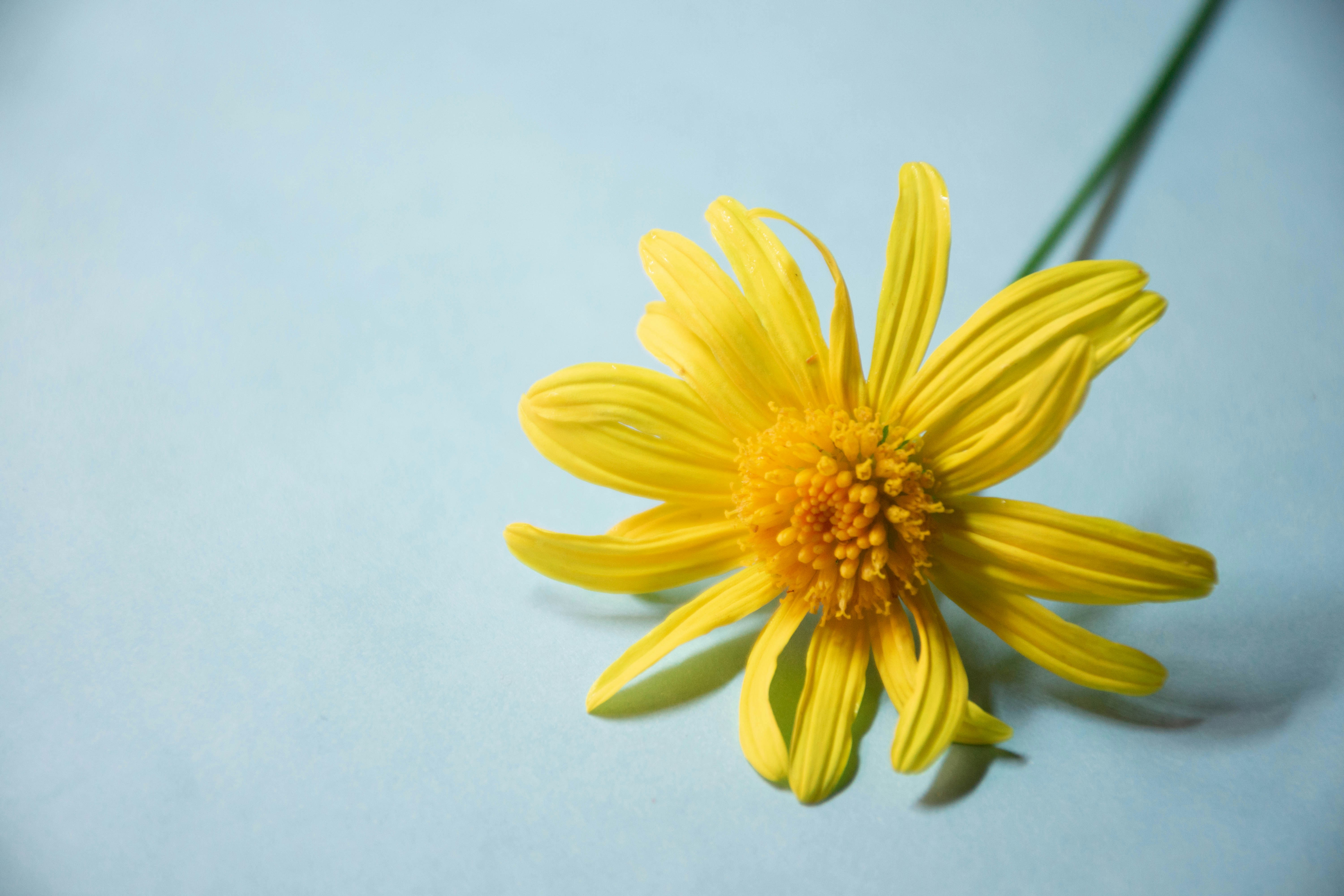 Photo by lucasgwendt