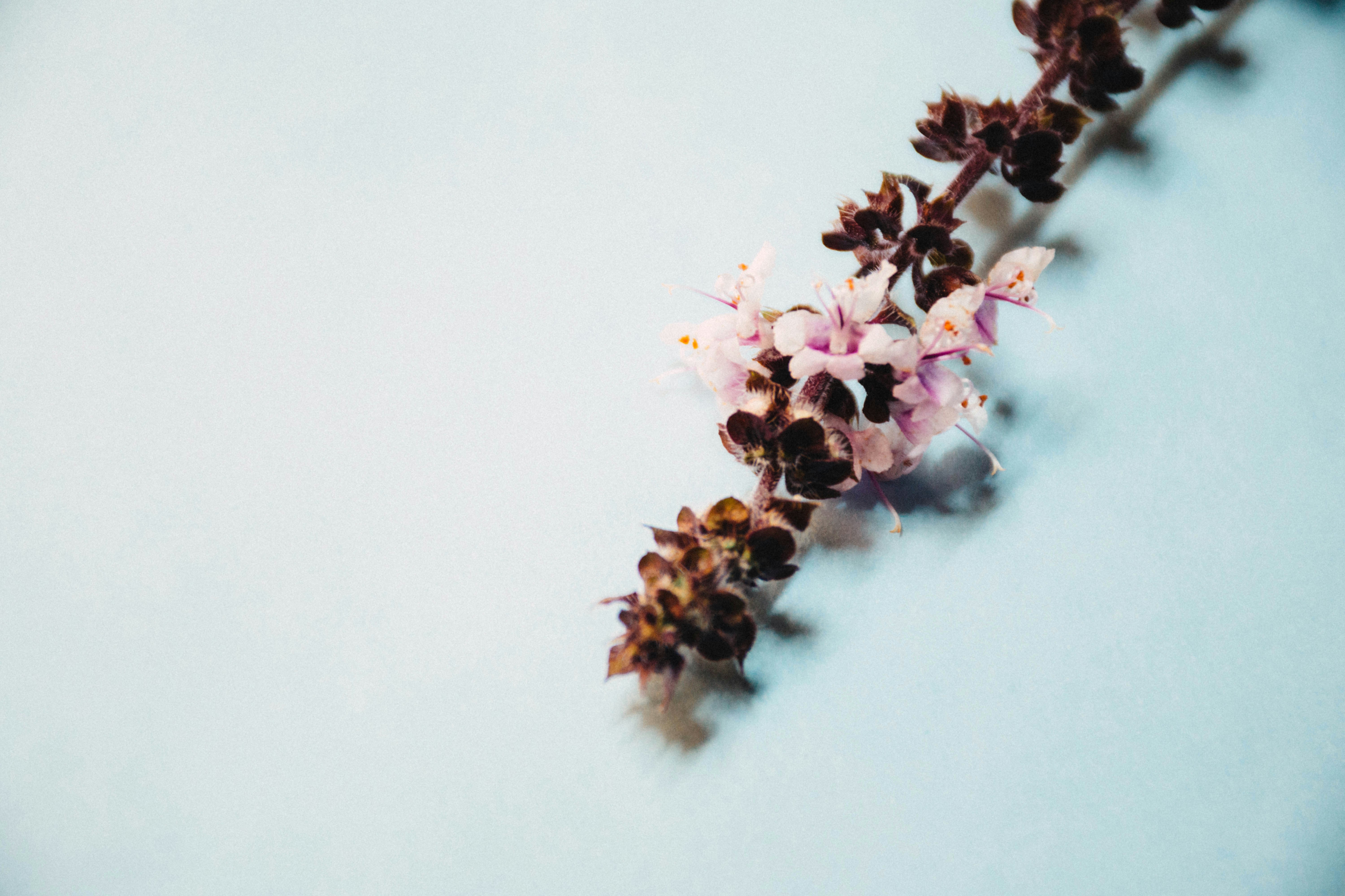 Photo by lucasgwendt