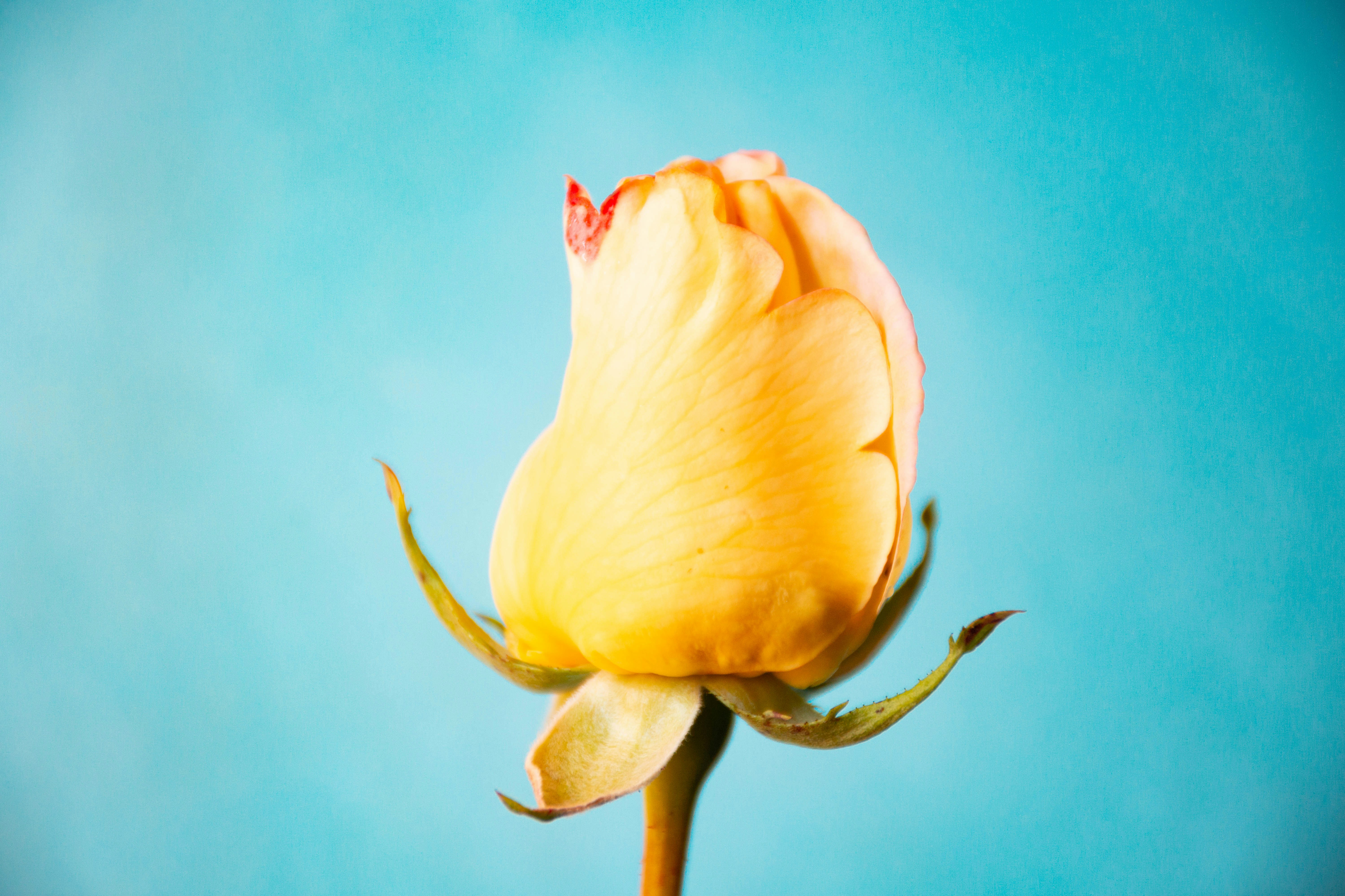 Photo by lucasgwendt