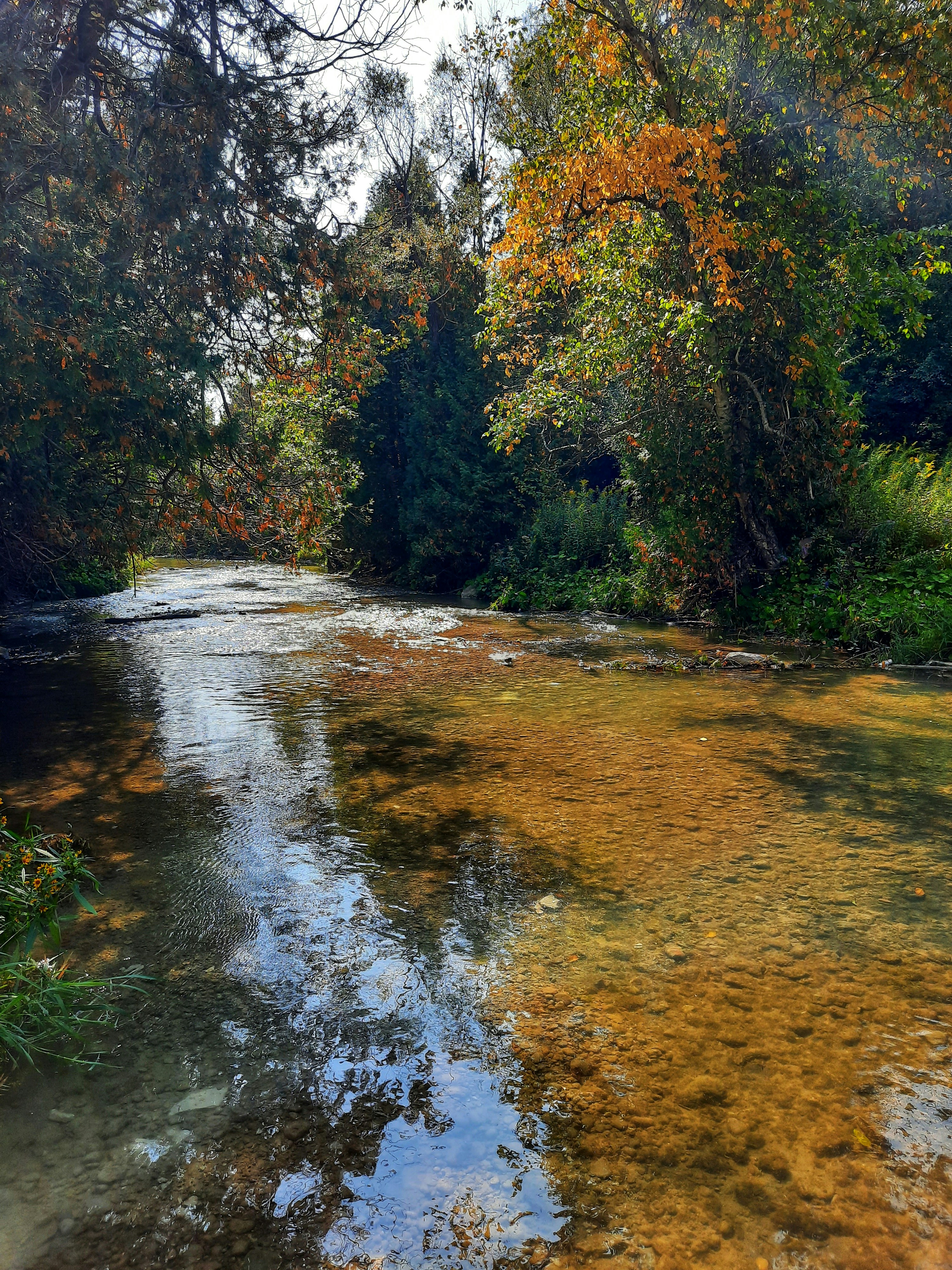 Photo by meri_vasilevski