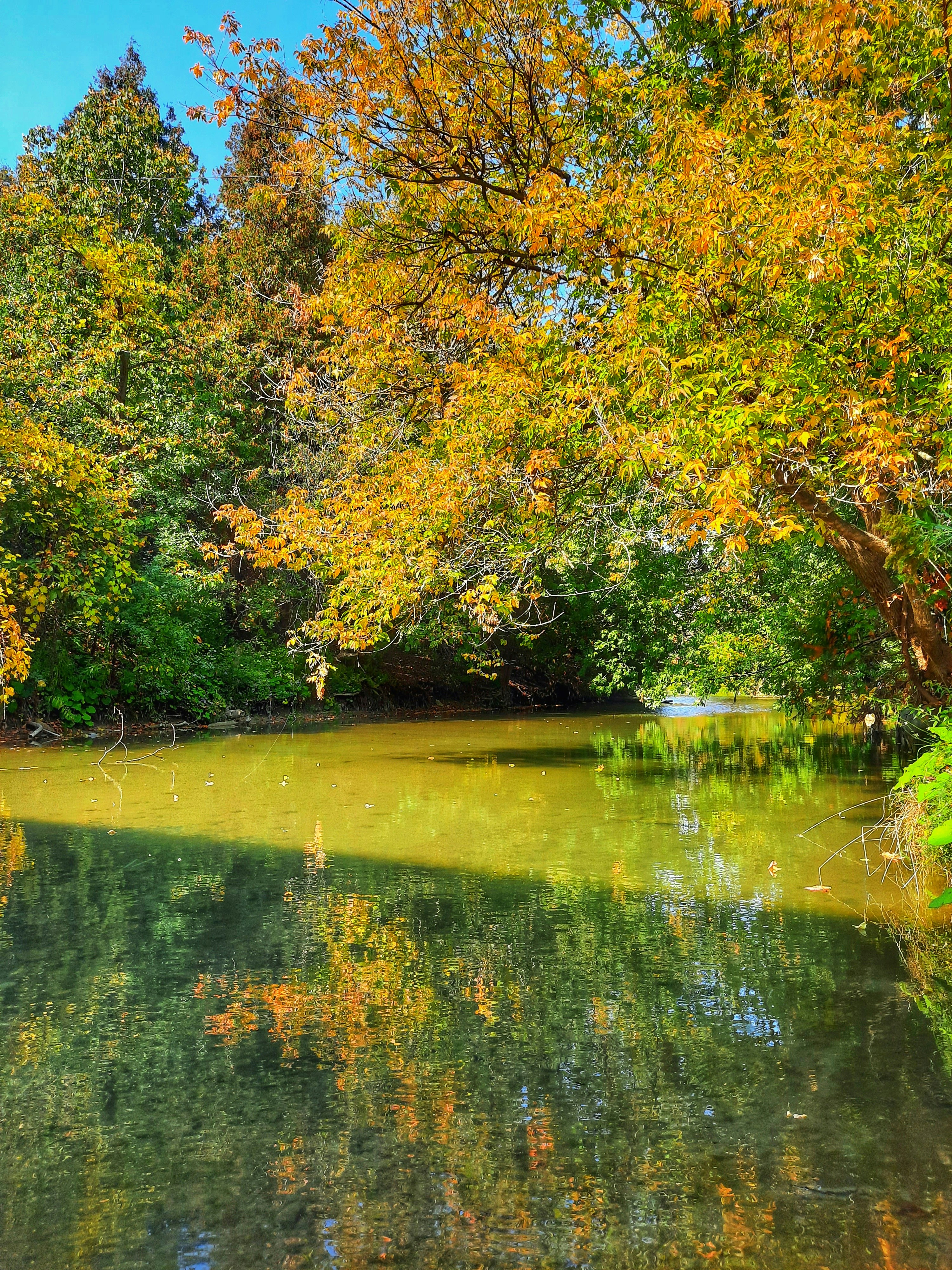 Photo by meri_vasilevski