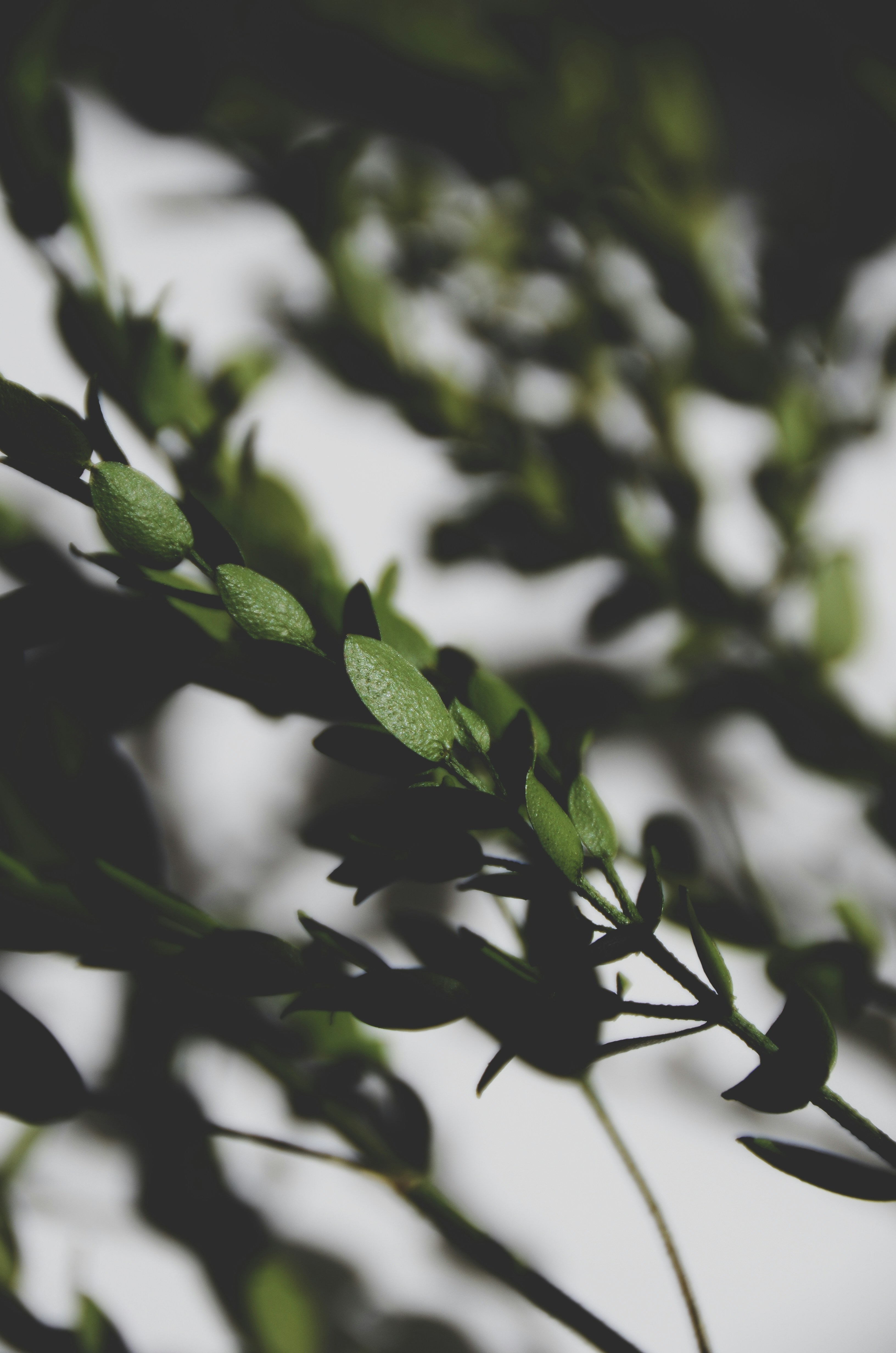 Photo by courtneysmith