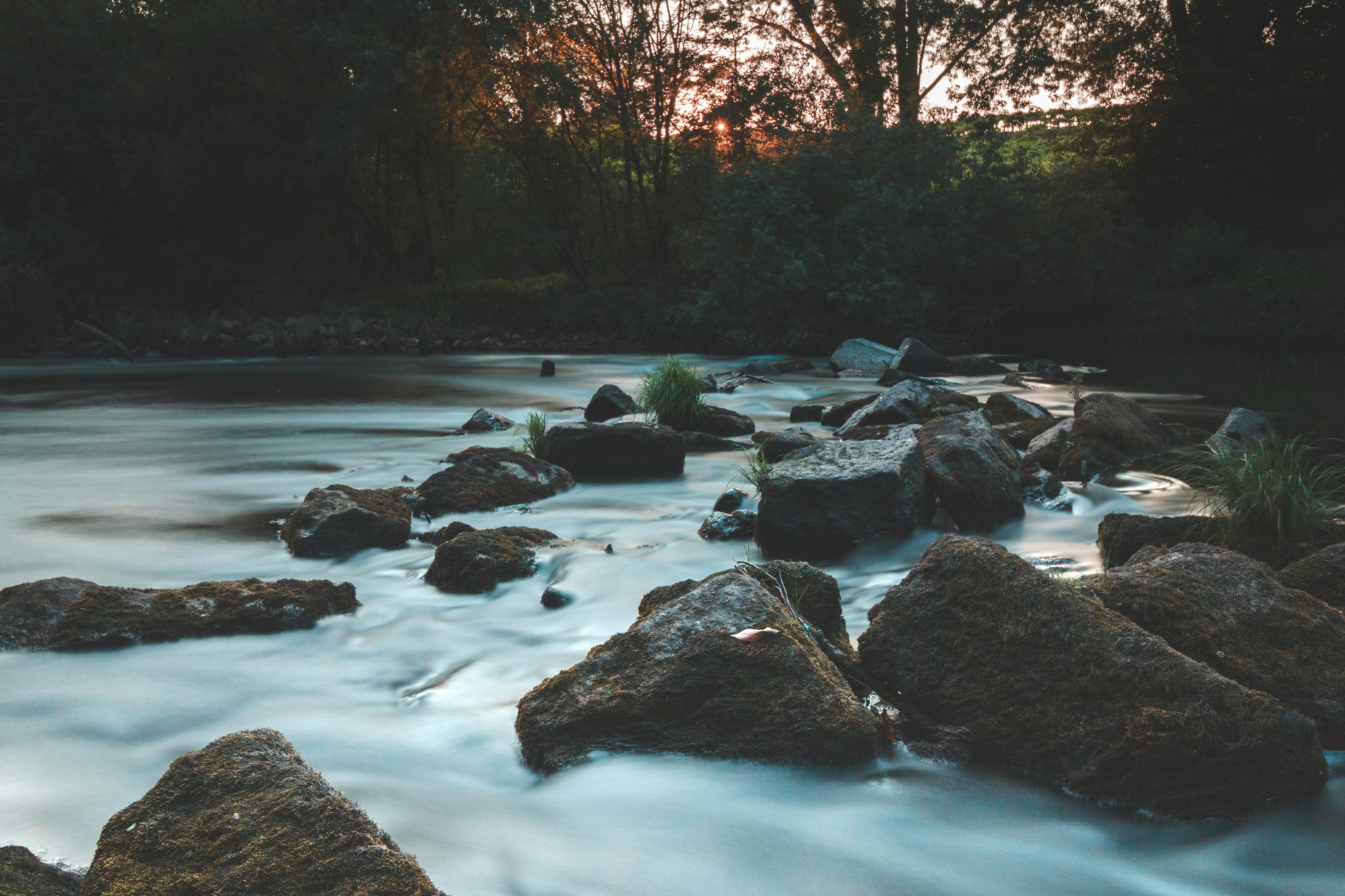 rocky river with rocks and trees
