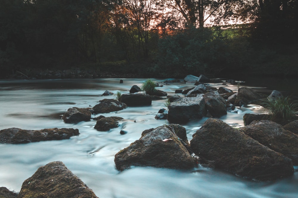 rocky river with rocks and trees