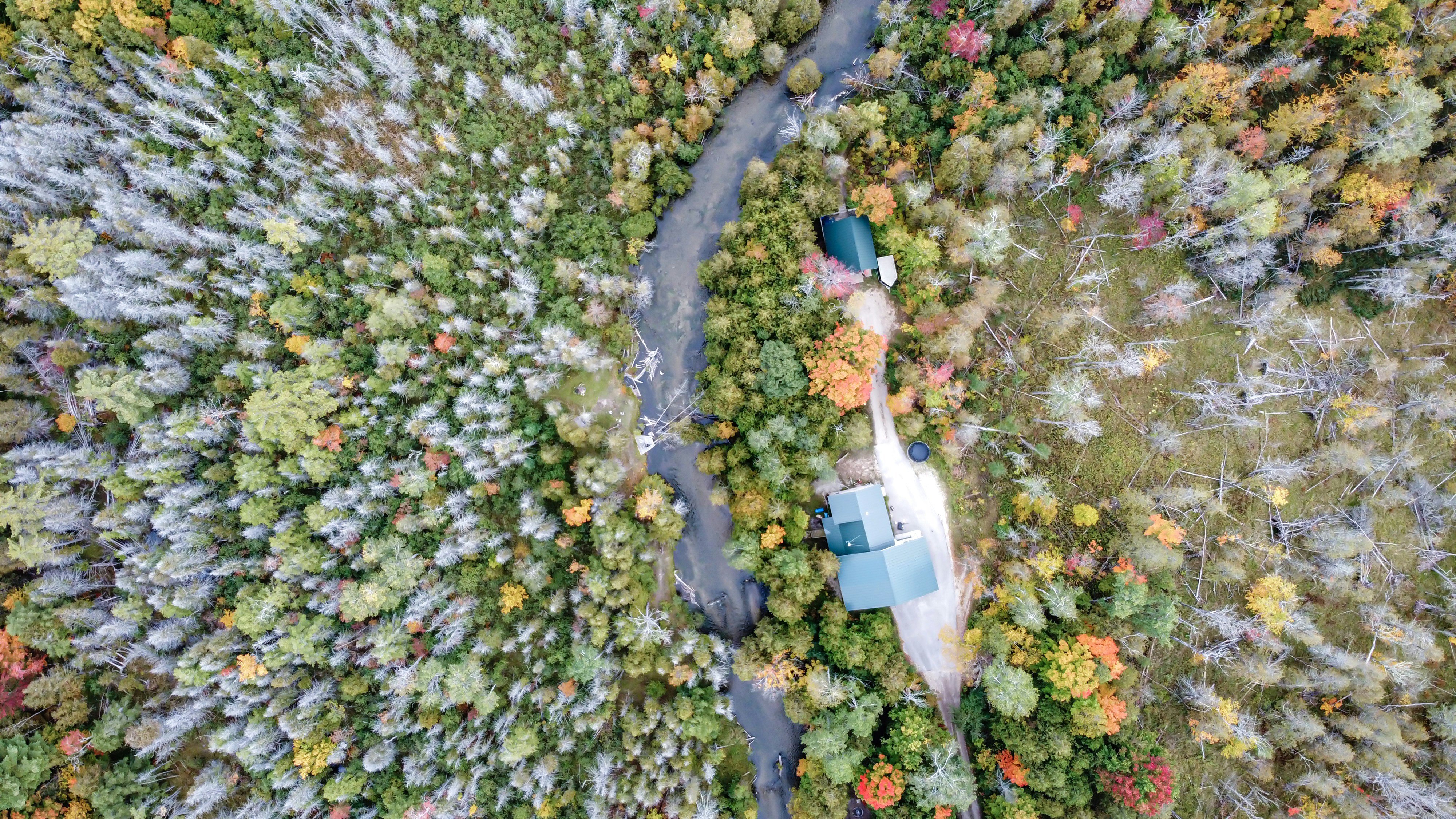 blue and white water hose on ground