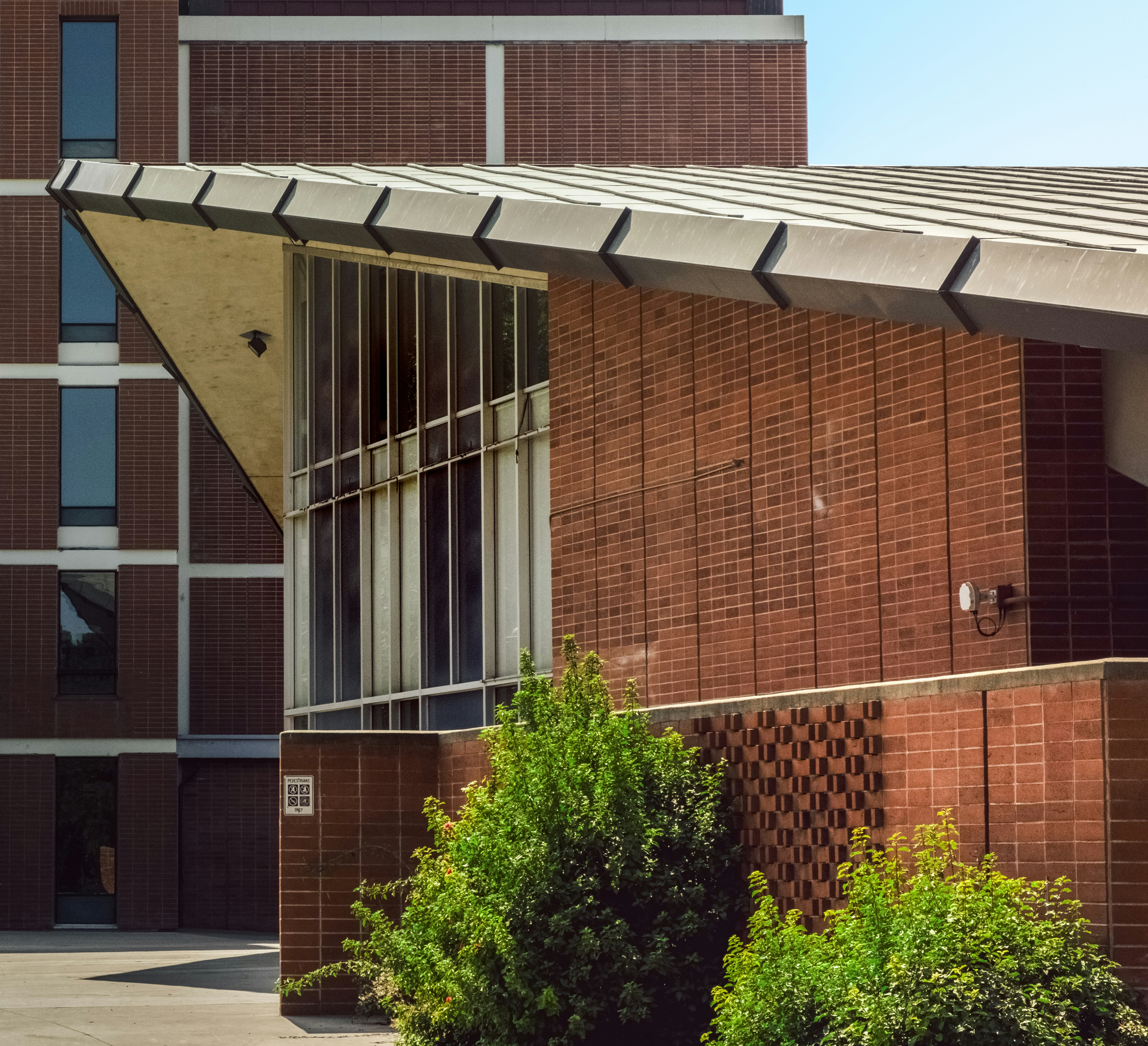 Photo by parsoakhorsand