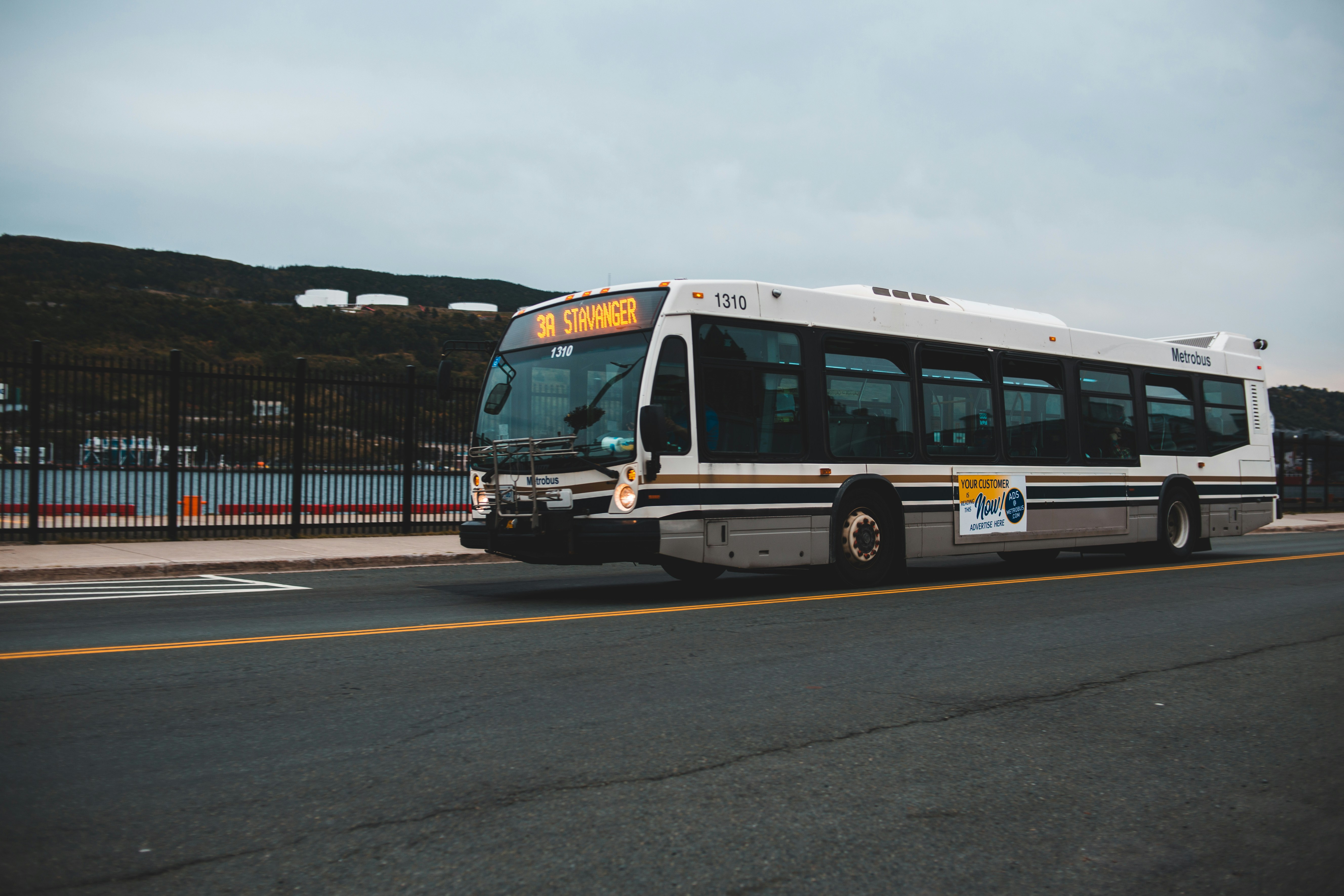 white bus on road during daytime