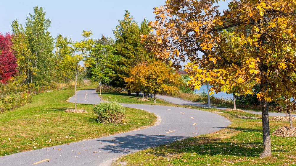 green and yellow trees on green grass field during daytime