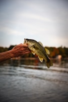 A small bass caught by a beginner, held proudly against a backdrop of calm water.