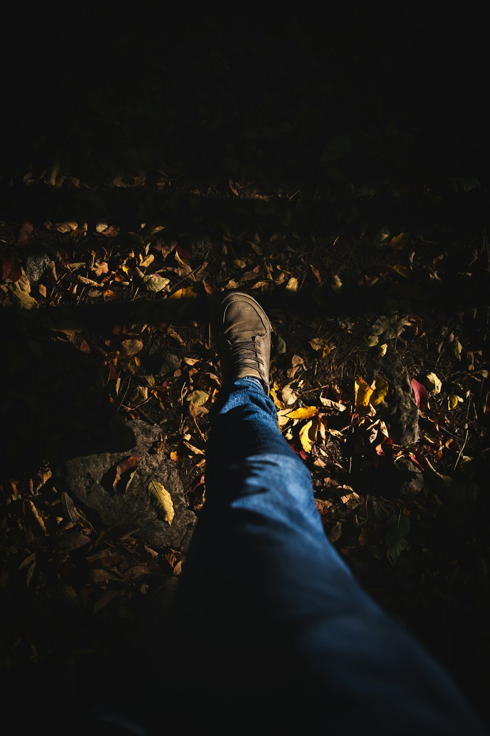 person in blue denim jeans and brown leather shoes standing on brown dried leaves