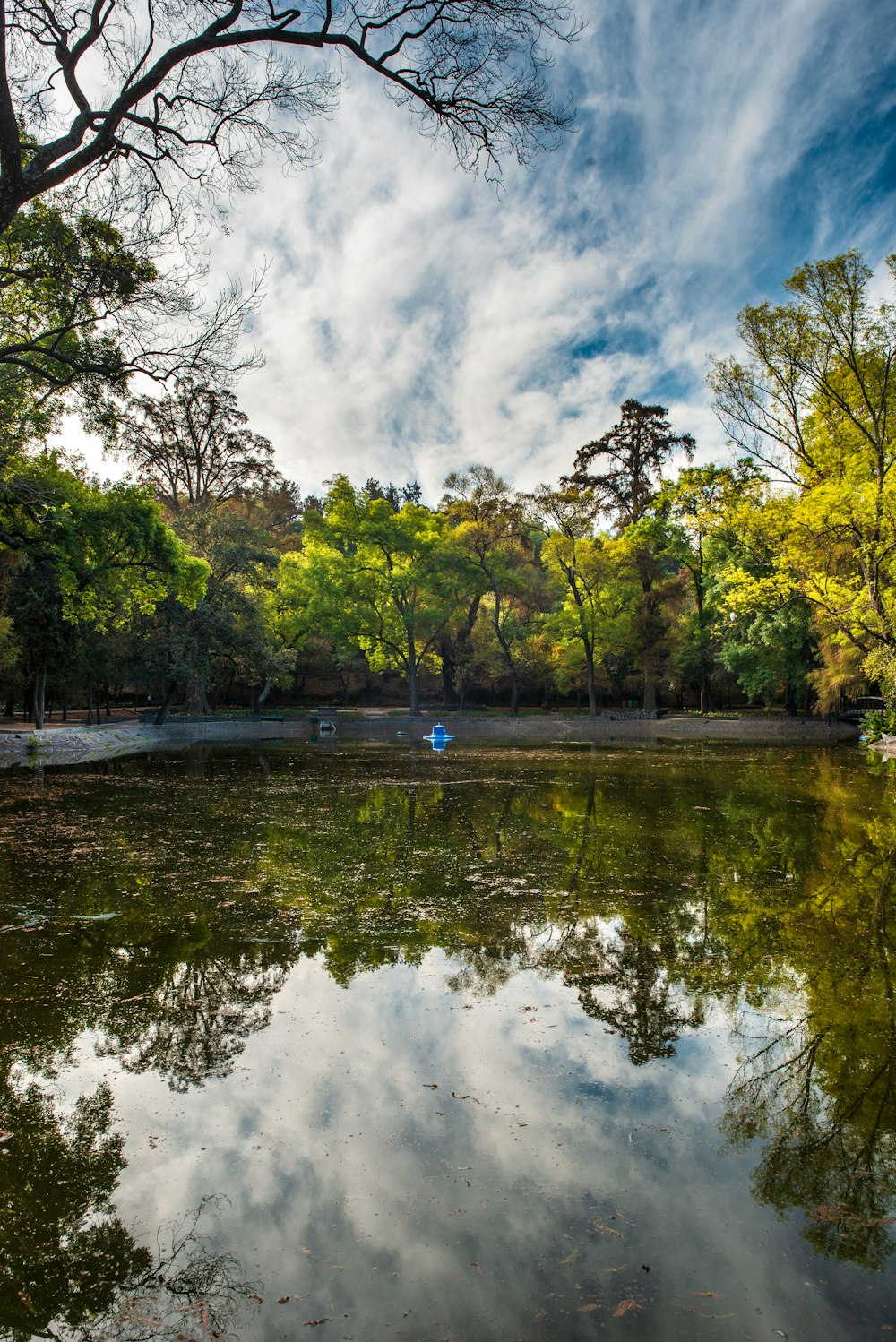 green trees beside river under white clouds and blue sky during daytime