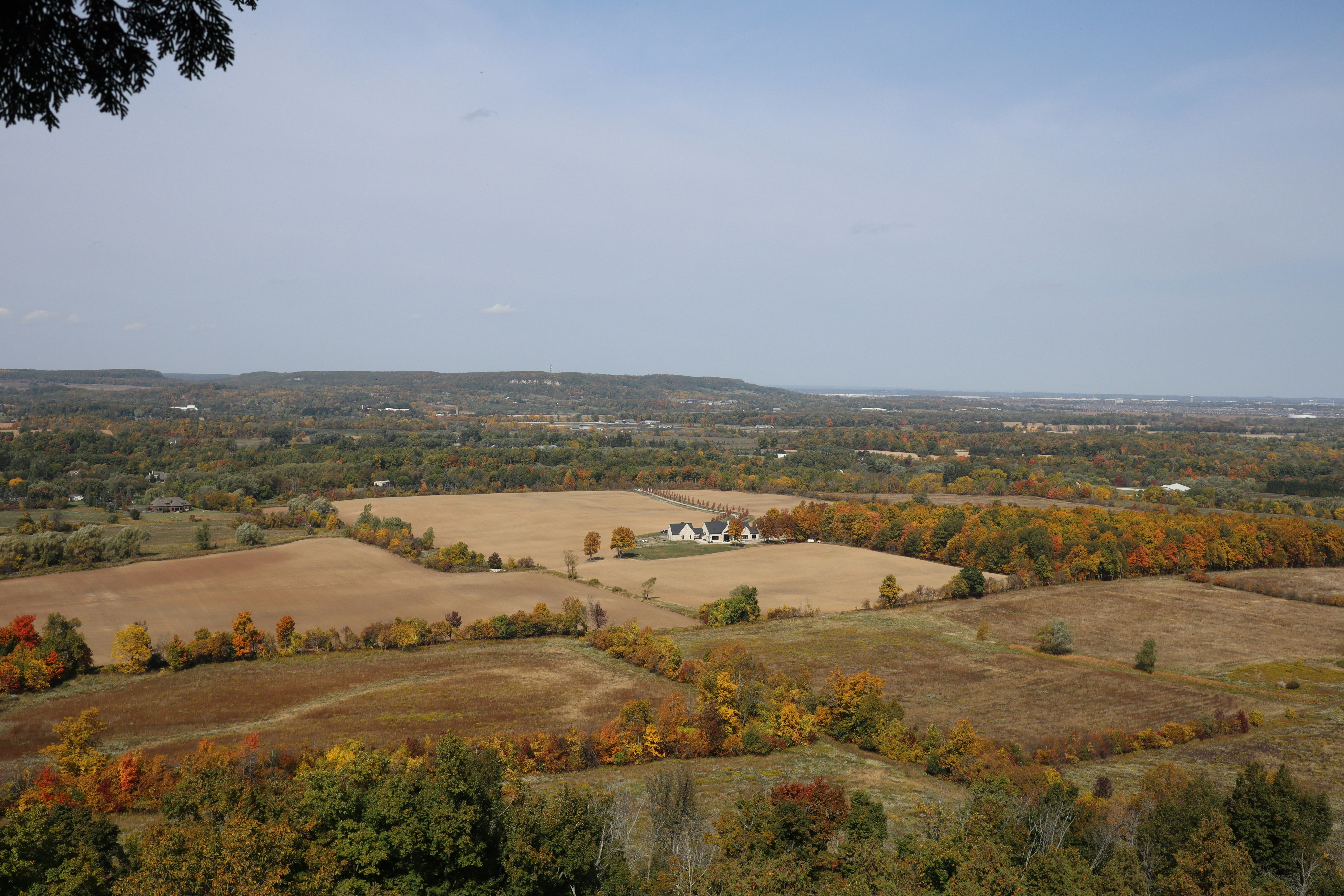 Rhino's Sports & Spirits