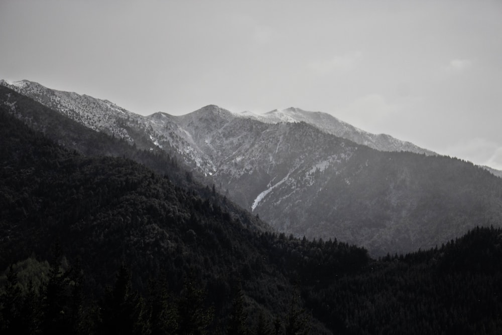 green trees on mountain under white sky during daytime