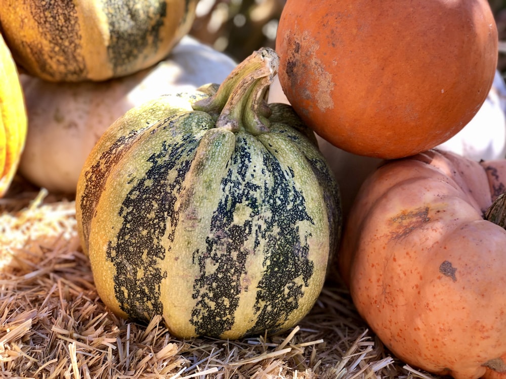 orange and green round fruits