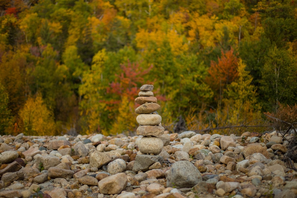 stack of stones near green trees during daytime