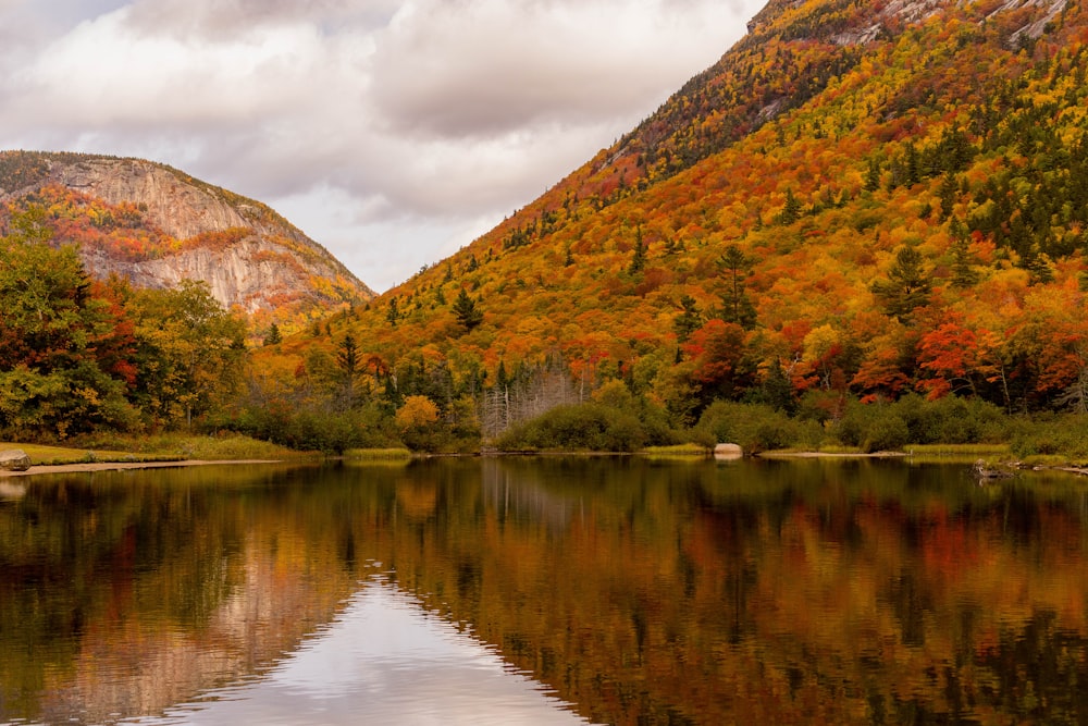 green and brown mountain beside lake under cloudy sky during daytime