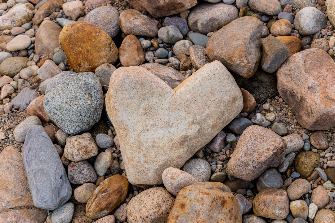 gray and brown stone fragments