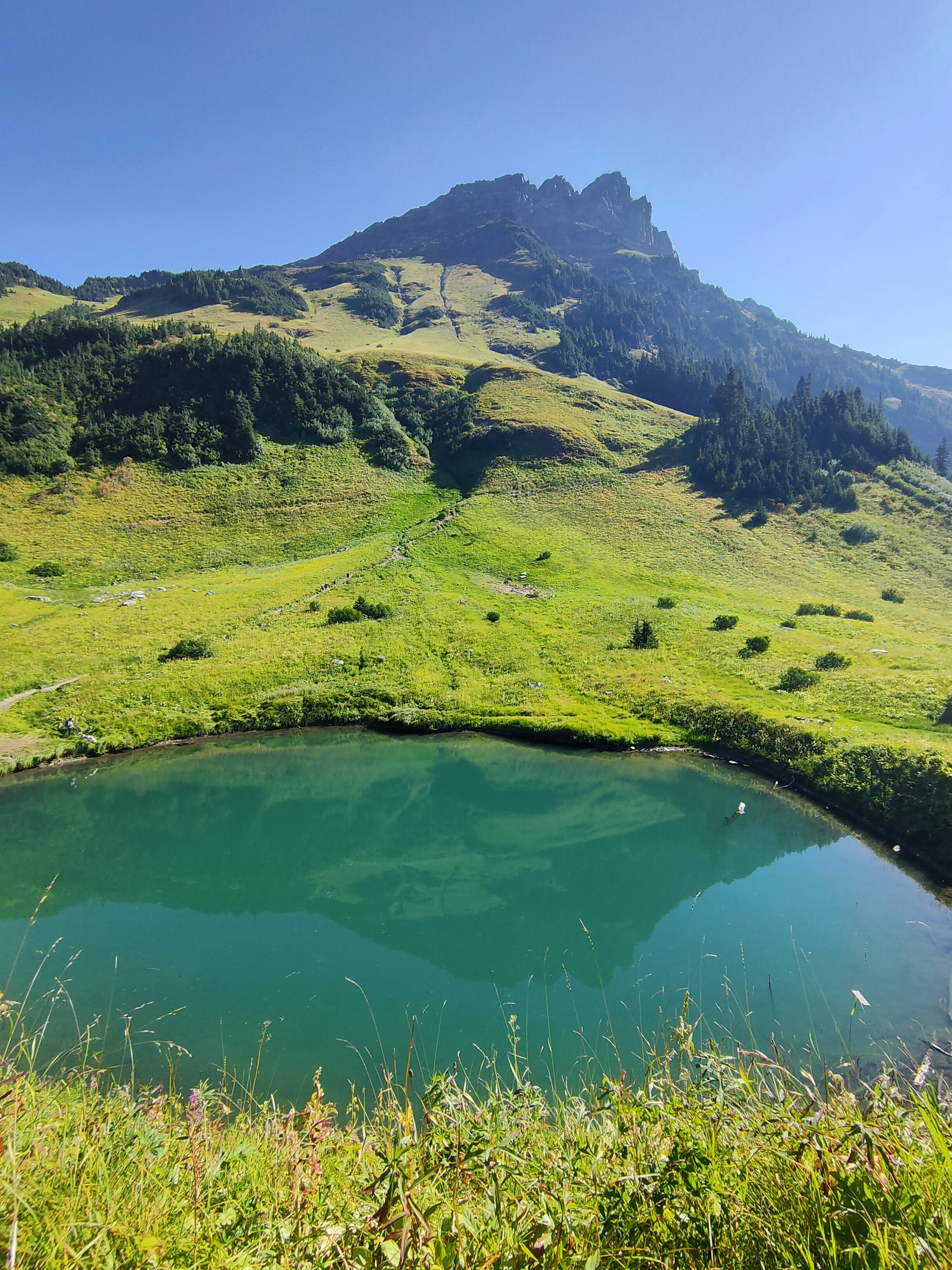 small lake under mt lady at bc,canada