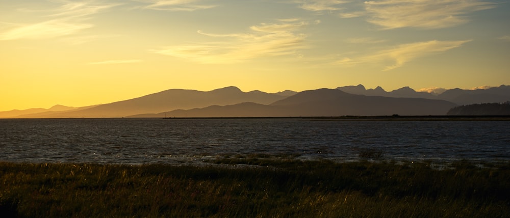 green grass field near body of water during daytime