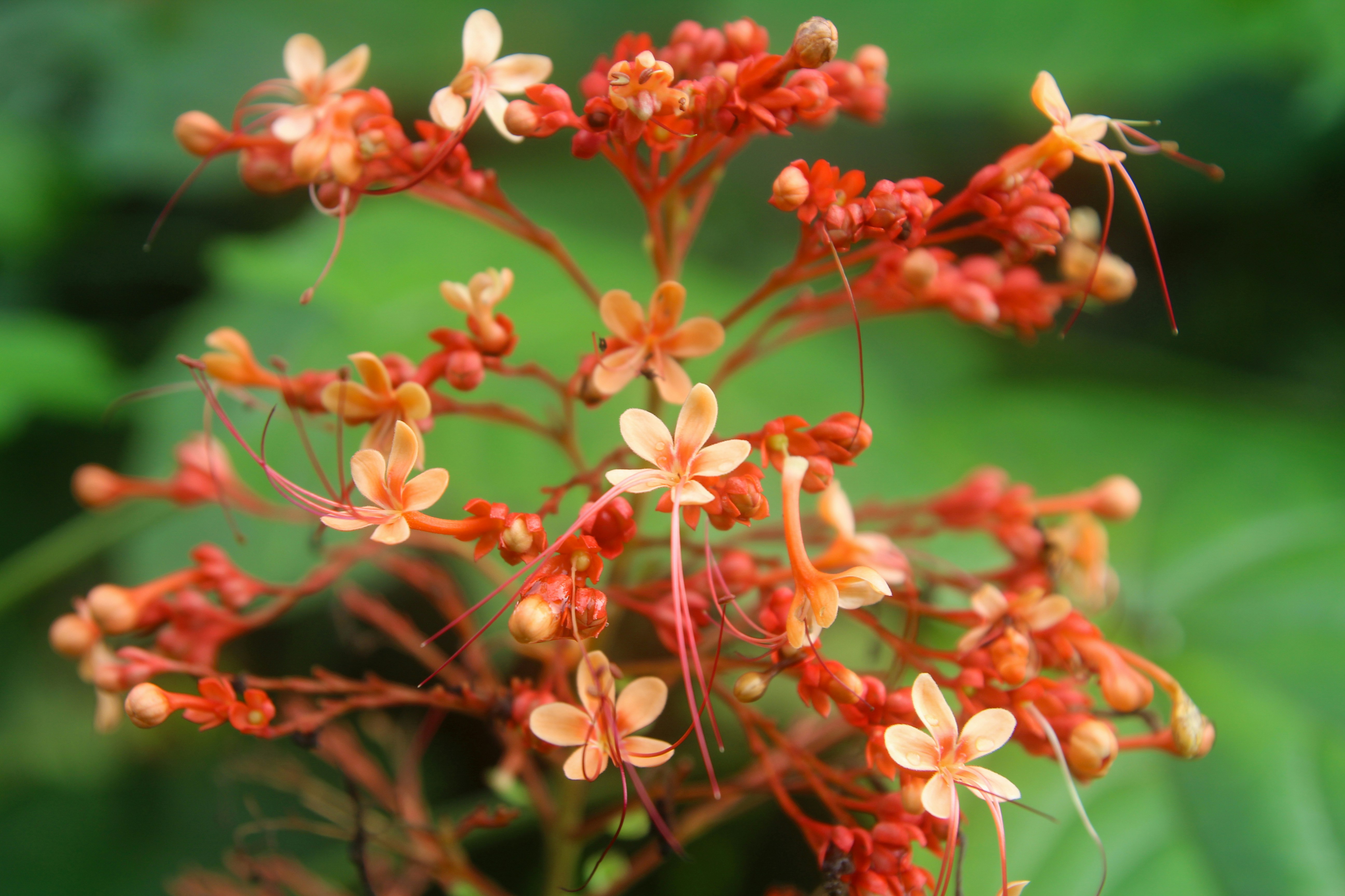 Photo by izdiharsahalan