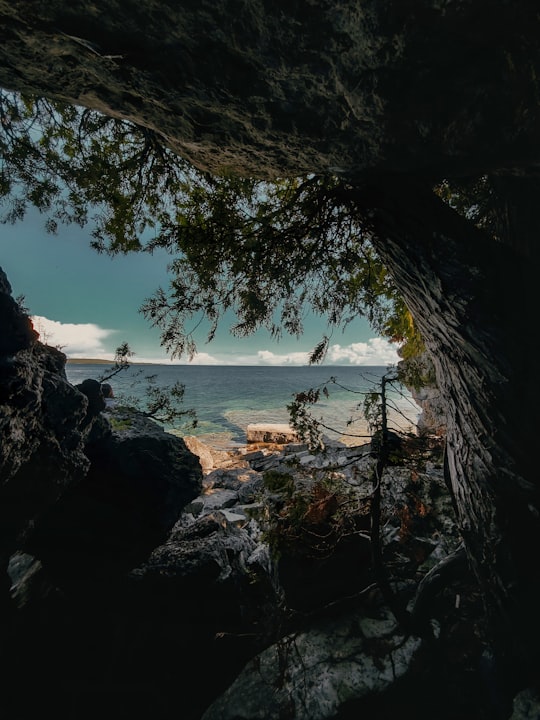 brown rock formation near body of water during daytime in Tobermory Canada