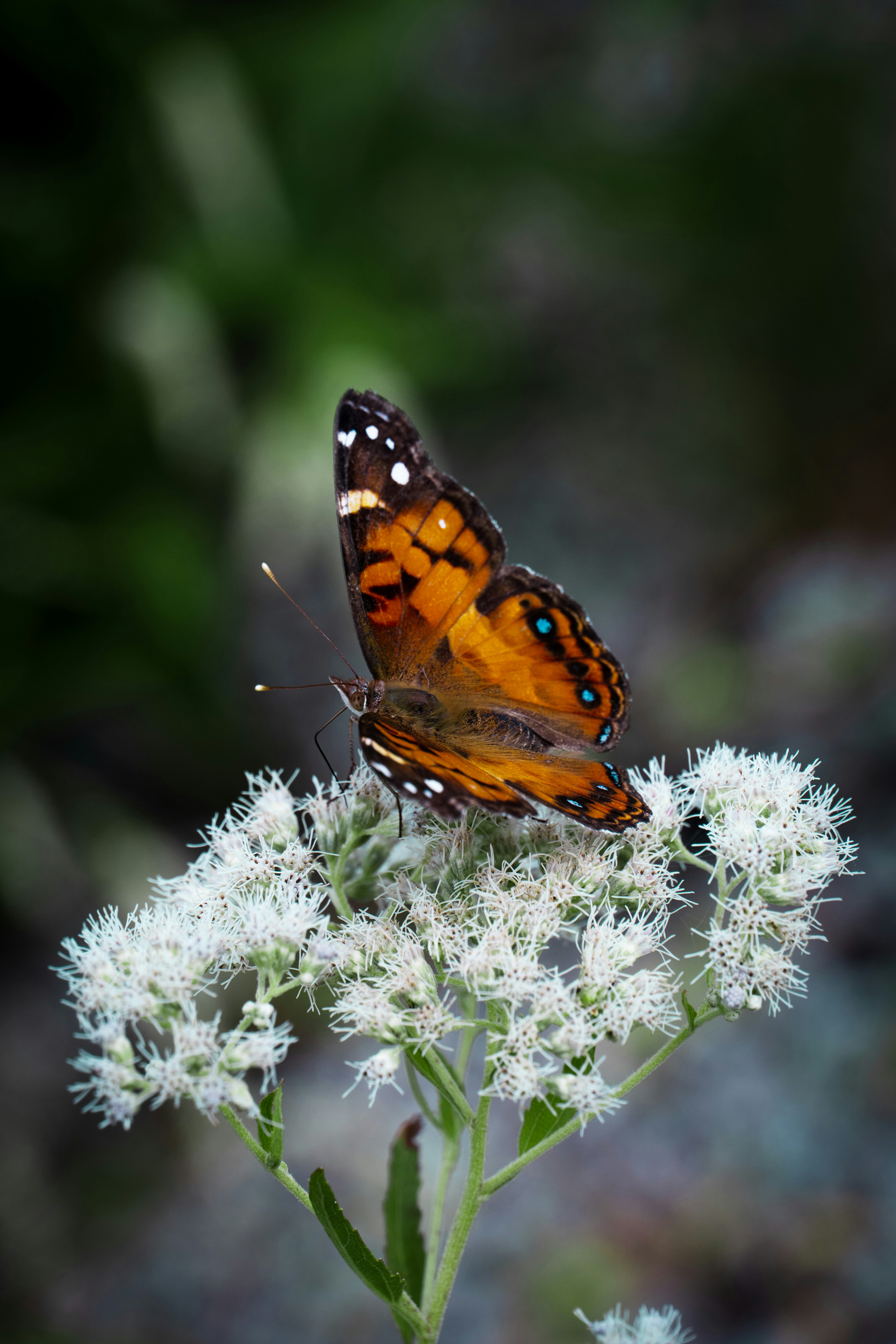 Photo by biggersmiles