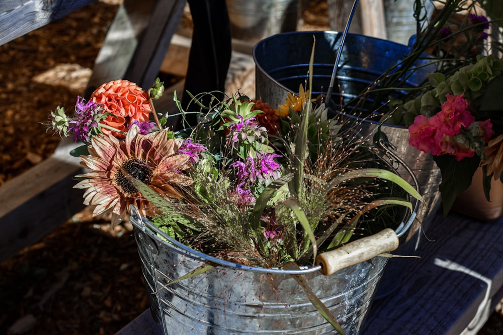 pink and green flower in blue plastic bucket