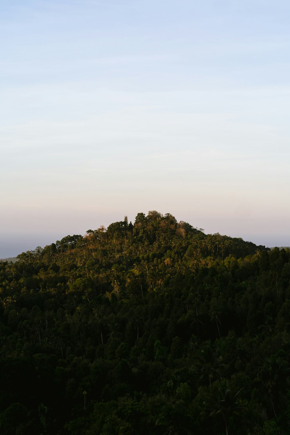 green grass on mountain during daytime