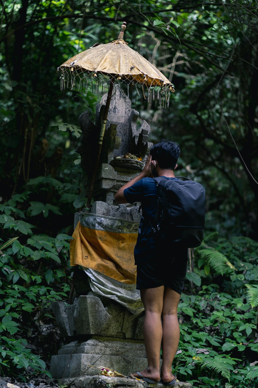 Jungle photo spot Sekumpul Badung