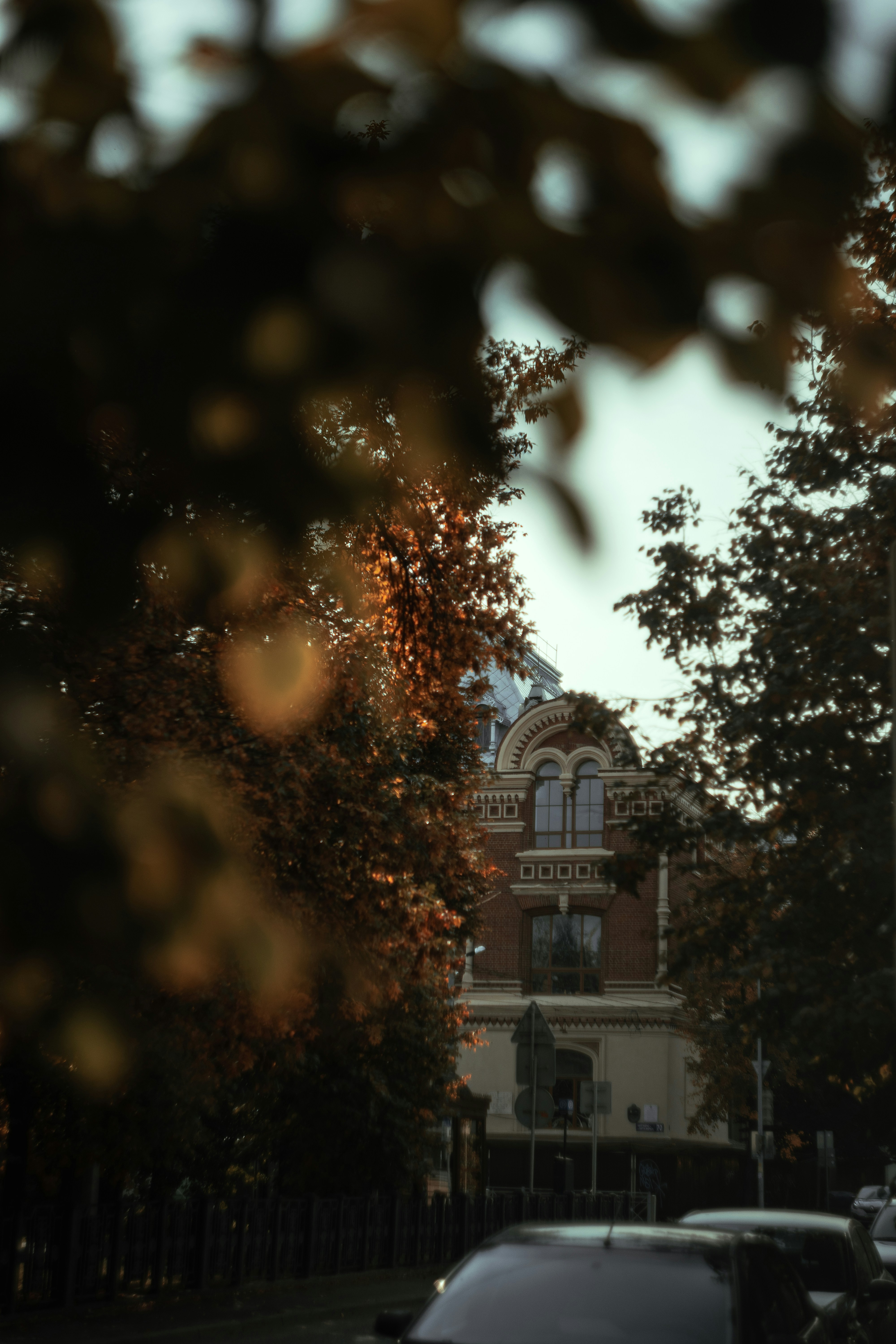 Photo by robert_lens