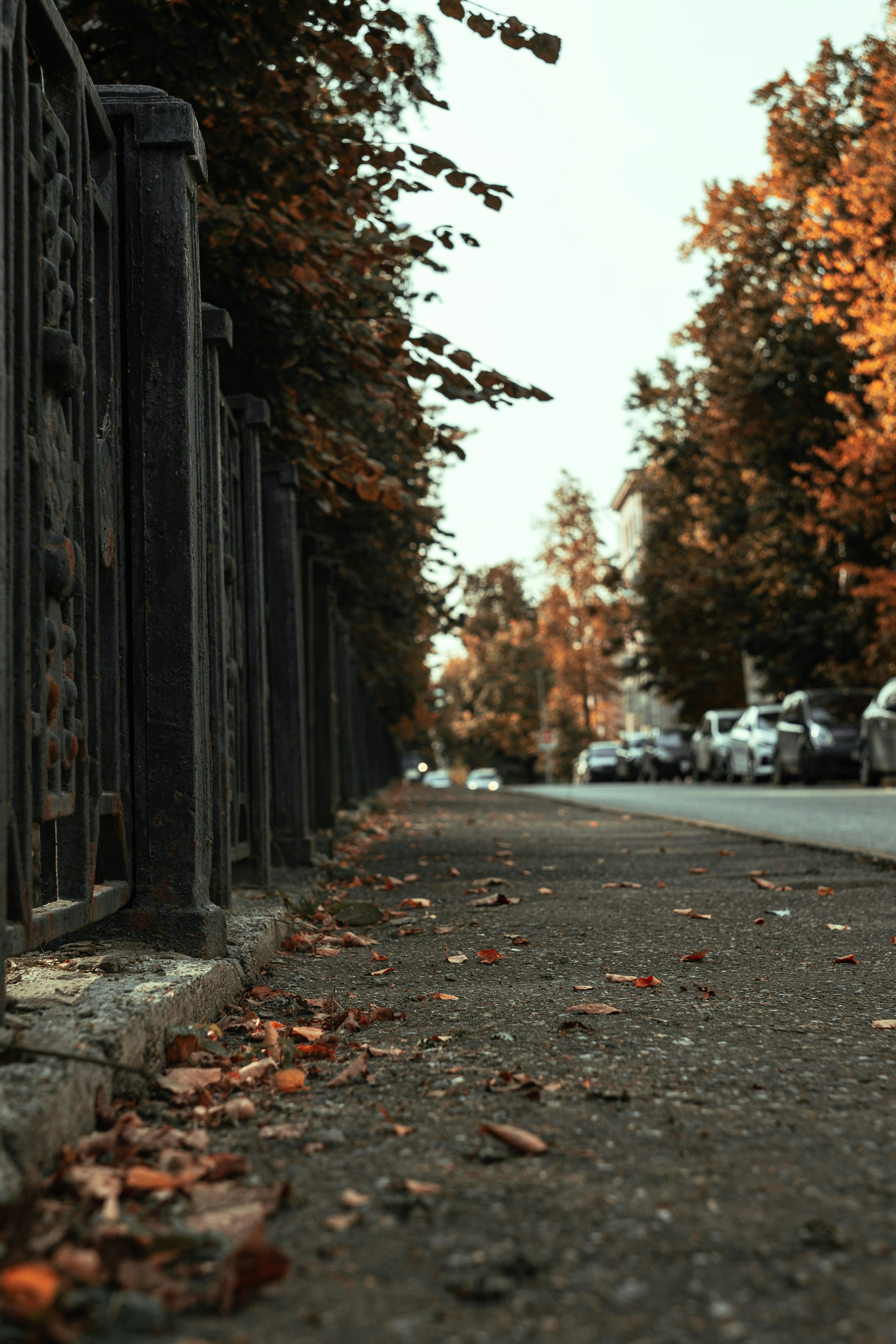 Photo by robert_lens