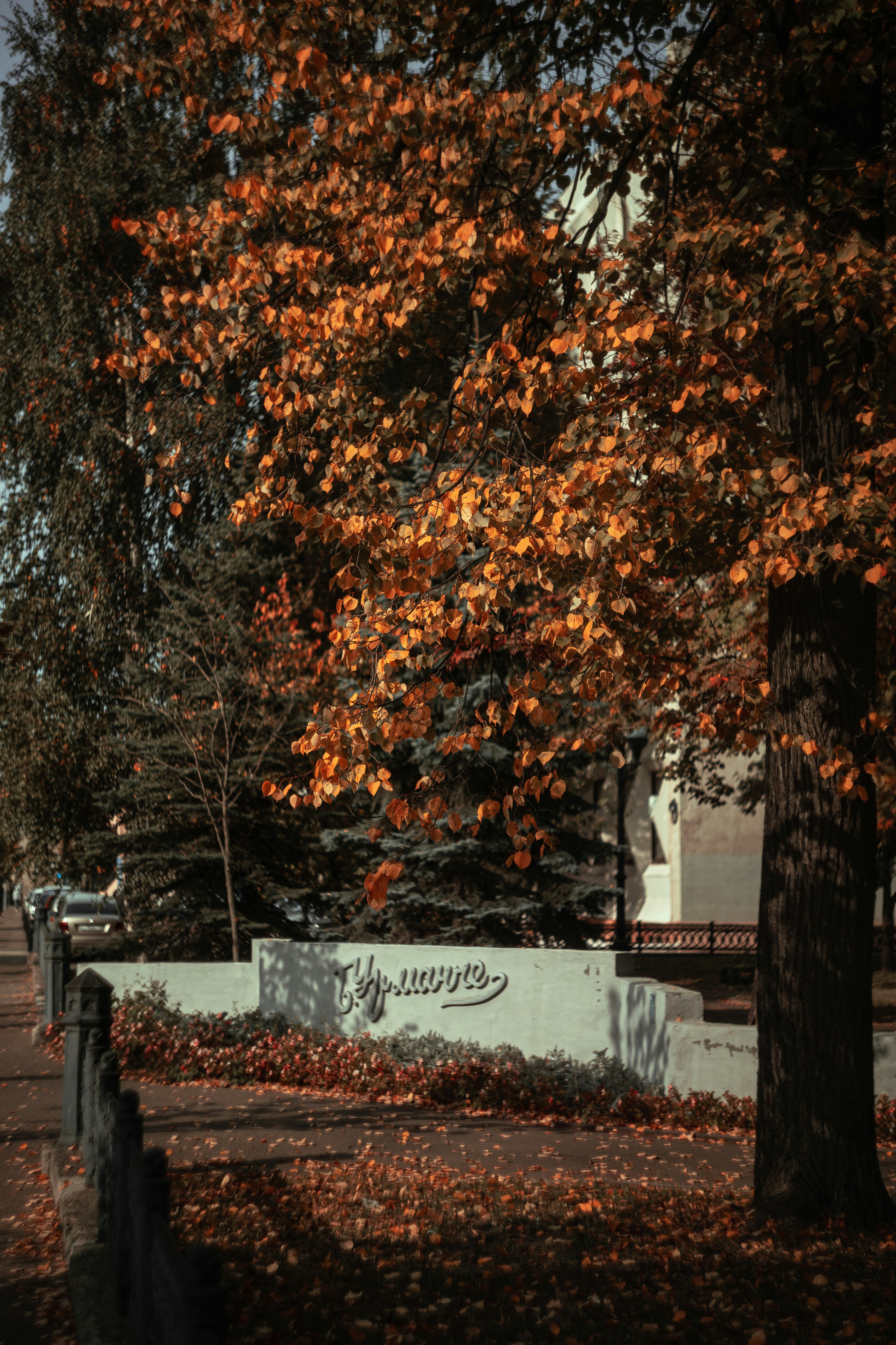 Photo by robert_lens