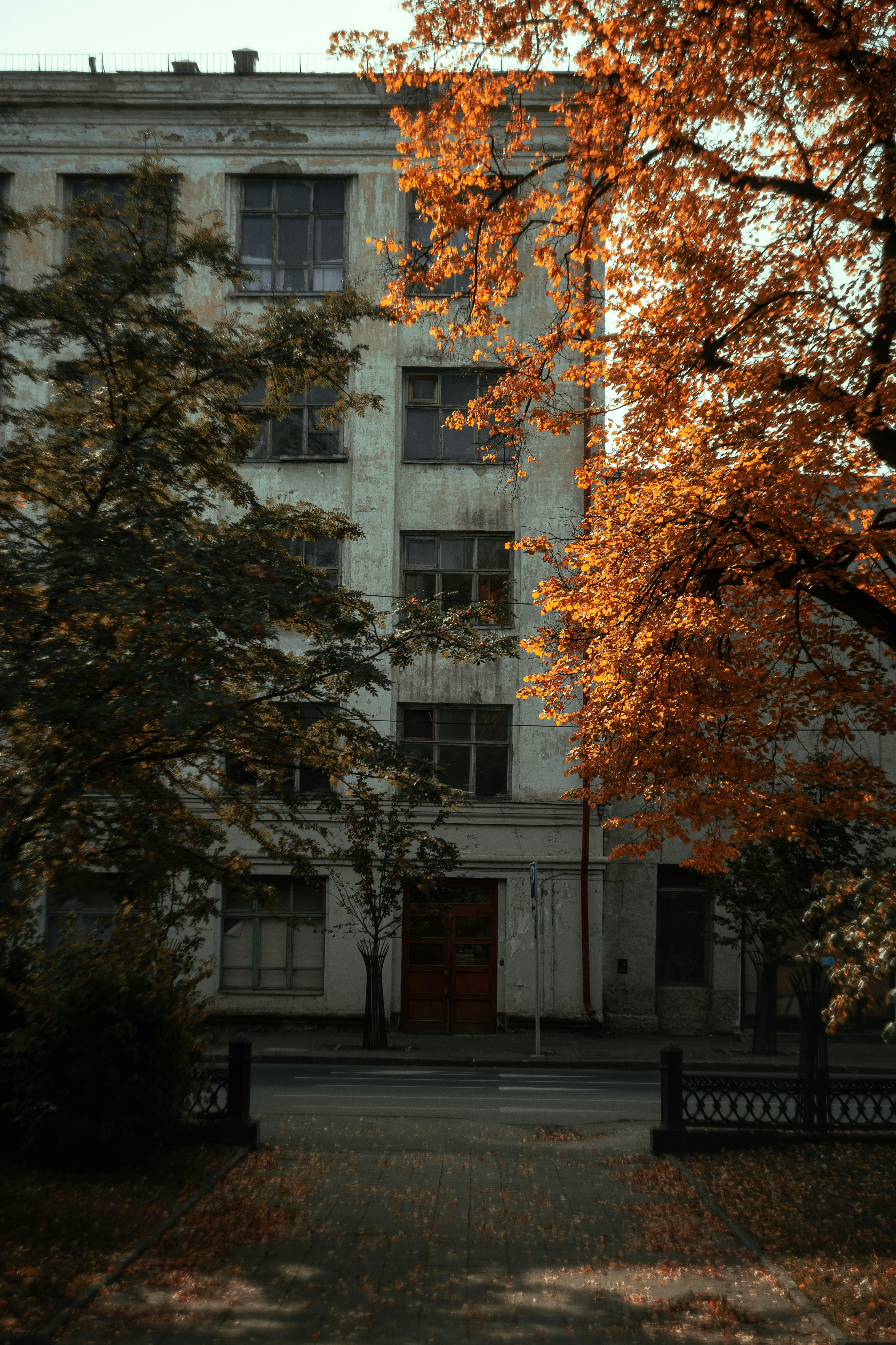 Photo by robert_lens