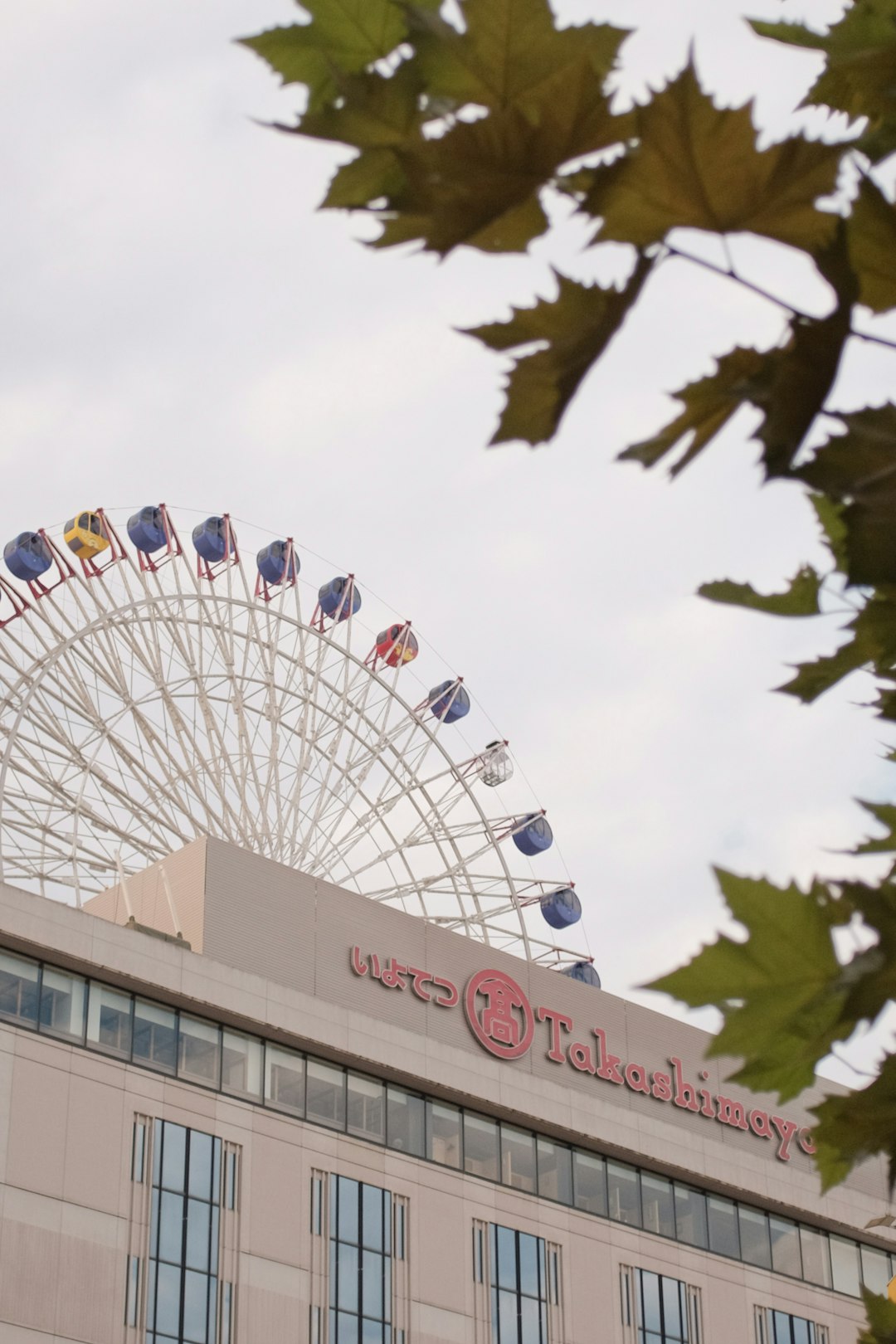 white and blue ferris wheel